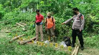 Polisi saat olah TKP di hutan Magersaren, Kecamatan Jiken, Kabupaten Blora, Jawa Tengah (Liputan6.com/Ahmad Adirin)