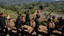 Masyarakat adat Gelar Alam membawa tangkai padi dalam sebuah prosesi perayaan panen Seren Taun di Sukabumi, Jawa Barat, pada Minggu 5 Oktober 2025. (Aditya AJI/AFP)