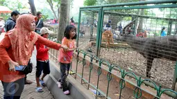 Warga melihat rusa di Kebun Binatang Ragunan, Jakarta, Minggu (27/12/2015). Ragunan masih menjadi tempat favorit untuk rekreasi bagi warga ibukota dan sekitarnya. (Liputan6.com/Helmi Afandi)
