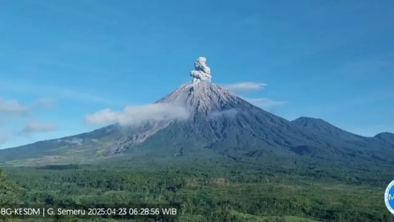 Gunung Semeru kembali erupsi, dengan tinggi letusan capai 900 meter (Istimewa)