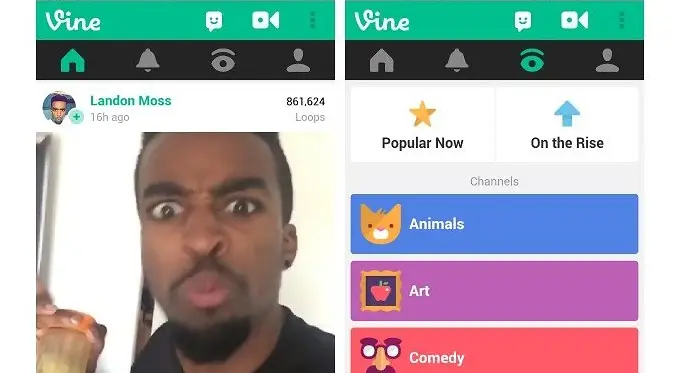 Vine (androidpit.com)