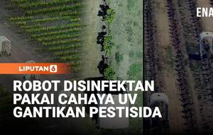Robot self-driving ini merawat anggur dan stroberi dengan menggunakan cahaya UV, bukan pestisida. Penyinaran cahaya UV ini tujuannya untuk membunuh jamur tanpa harus menyemprotkan bahan kimia.