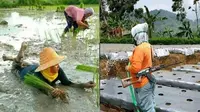 6 Aksi Kocak Emak-Emak saat di Sawah Ini Bikin Elus Dada (sumber: Instagram.com/awreceh.id dan Instagram.com/receh.id)