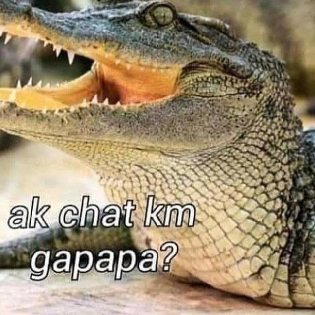 7 Meme Rayuan Gombal Buaya Darat Bikin Senyum Kecut Citizen6 Liputan6 