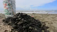 Bongkahan batu bara di pantai Peunaga Rayeuk yang sudah dipungut oleh warga ke dalam karung (Liputan6.com/Ist)