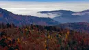 Warna daun-daun musim gugur di pegunungan Vosges menandai pergantian musim di Rimbach, kawasan Alsace, Perancis timur, Selasa (3/11). (REUTERS / Jacky Naegelen)