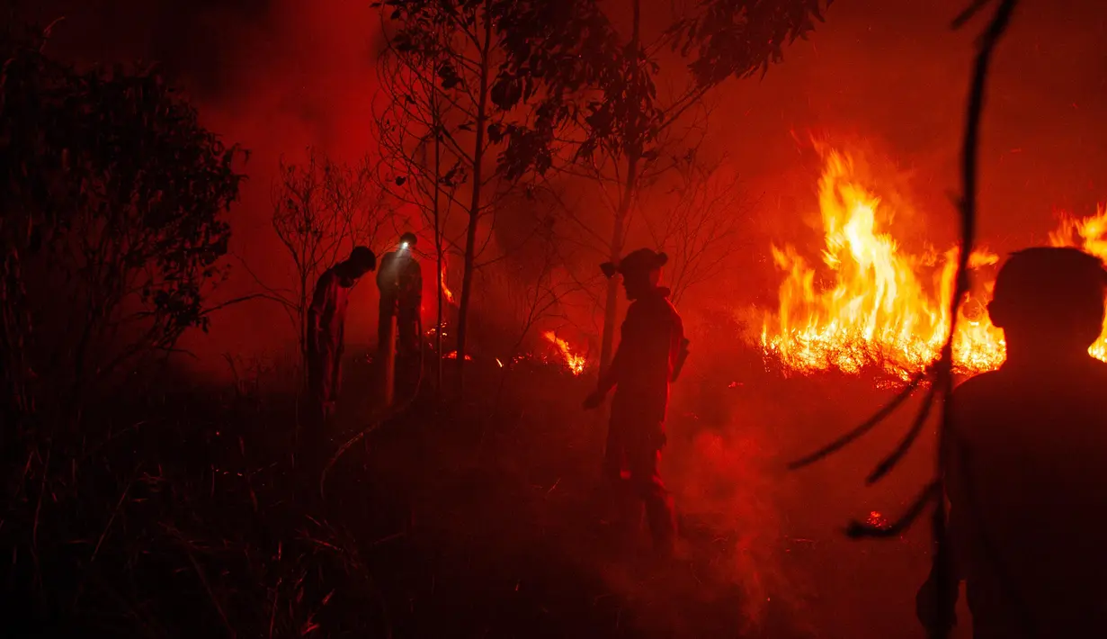 Kebakaran lahan masih terjadi di sisi kanan dan kiri jalan lintas Palembang-Indralaya, Ogan Ilir, Sumatera Selatan. (Al ZULKIFLI/AFP)