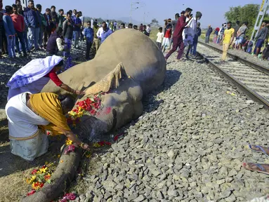 Penduduk desa memberikan penghormatan kepada salah satu dari dua gajah yang mati setelah bertabrakan dengan kereta di Morigaon, Assam, India, Rabu (1/12/2021). Dua gajah mati setelah ditabrak kereta Rajdhani Express. (Biju BORO/AFP)