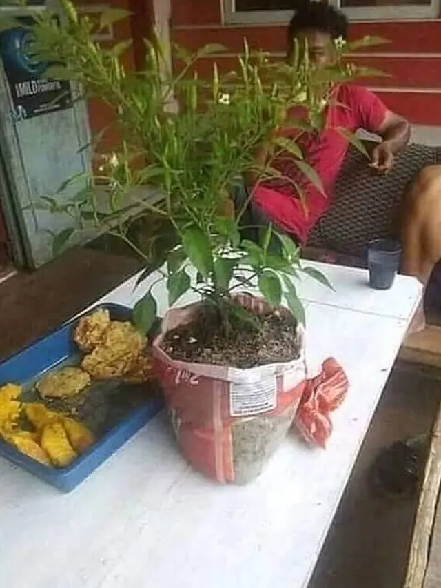 6 Momen Nyeleneh Orang Saat Makan Bareng, Prasmanannya Seperti Gunungan