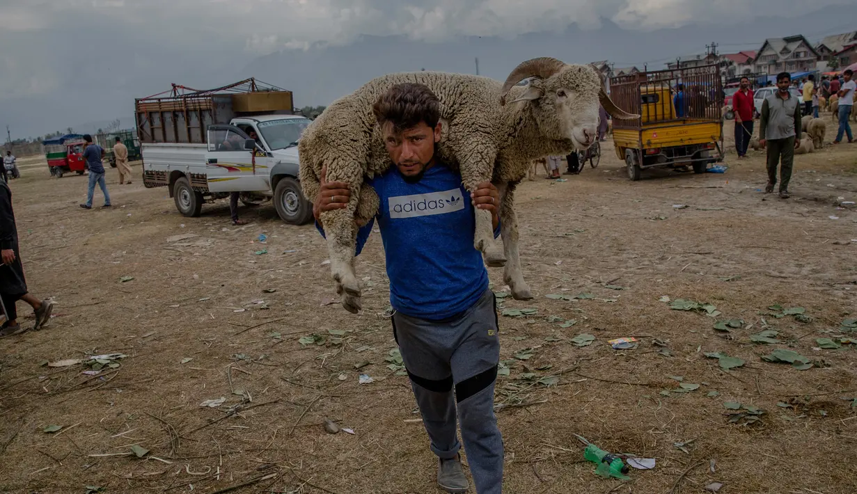 Seorang pria membawa seekor domba setelah membelinya dari pasar di Srinagar, Kashmir, India (30/8). Umat Muslim dari seluruh dunia sedang mempersiapkan menyambut Idul Adha 1438 H. (AP Photo / Dar Yasin)