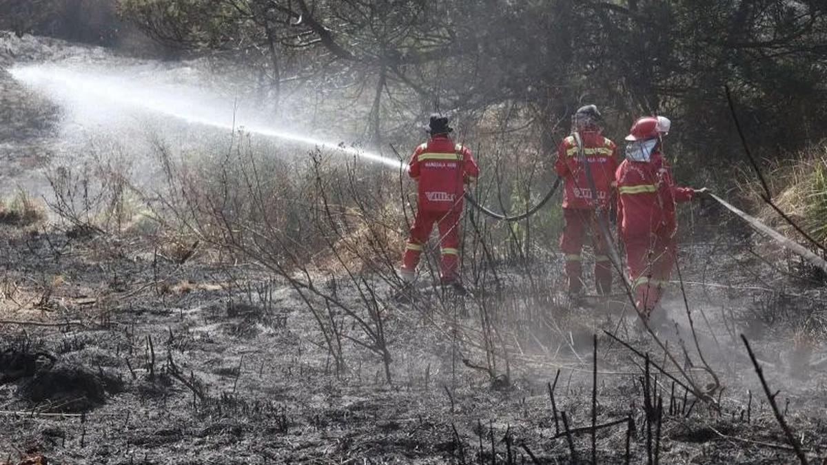 Titik Api Padam Seluruhnya, Luasan Area Gunung Bromo Capai 1.121 Hektare