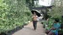 Pengunjung berjalan di antara tanaman yang dijual dalam pameran Flora dan Fauna 2018 di Taman Lapangan Banteng, Jakarta, Selasa (21/7). Pameran ini diselenggarakan oleh Dinas Kehutanan Provinsi DKI Jakarta. (Liputan6.com/Immanuel Antonius)