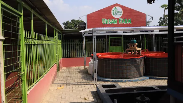 Keunikan Kampung Pepet Urban Farm di Kota Tangerang