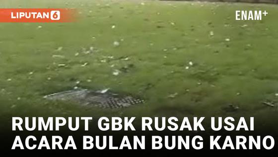 VIDEO: Rumput GBK Rusak Parah Usai Gelar Acara Puncak Bulan Bung Karno
