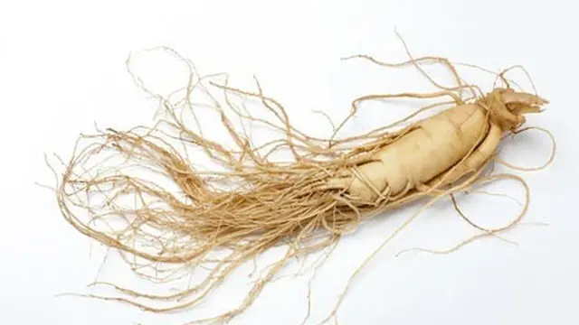 Hebatnya Herbal Bernama Ginseng
