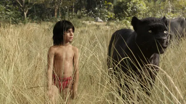 The Jungle Book
