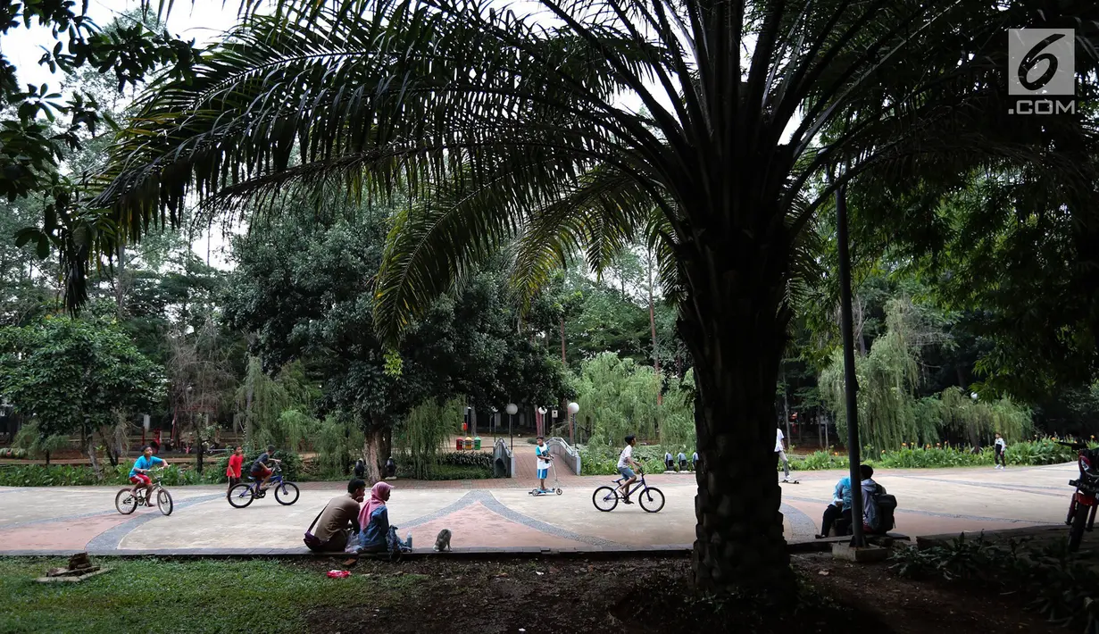 Anak-anak bermain sepeda di lapangan Taman Tebet, Jakarta Selatan, Selasa (8/1). Pemprov DKI Jakarta berencana merevitalisasi lima taman di ibu kota, salah satunya adalah Taman Honda yang berubah nama menjadi Taman Tebet. (Liputan6.com/Fery Pradolo)