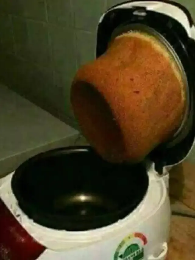 7 Potret Nyeleneh Orang Gagal Masak Nasi Ini Bikin Geleng Kepala