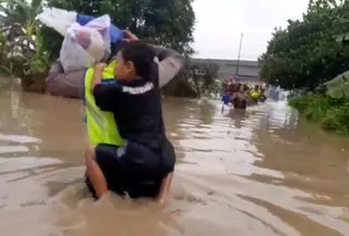 Geger Kemunculan Buaya saat Banjir di Pemalang Bikin Warga Takut