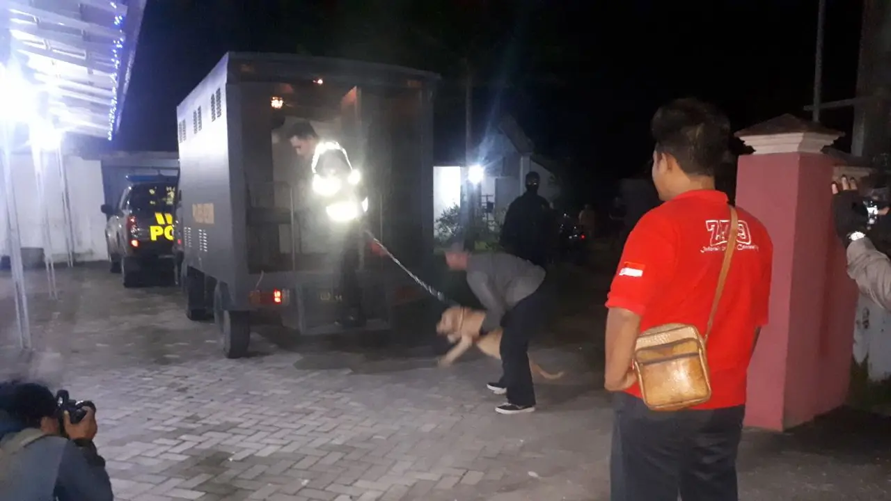 Tak Dirantai, 2 Anjing Pitbul Serang Kakek Pencari Kayu Bakar