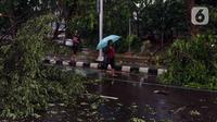 Warga berjalan dekat pohon tumbang yang melintang di sebuah jalan di Kota Tangerang, Banten, Kamis (23/12/2021). Puluhan pohon dan gapura tumbang akibat terjangan angin kencang saat hujan lebat melanda Kota Tangerang. (Liputan6.com/Angga Yuniar)