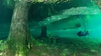 Ingin mencoba menyelam di danau serba hijau ini?