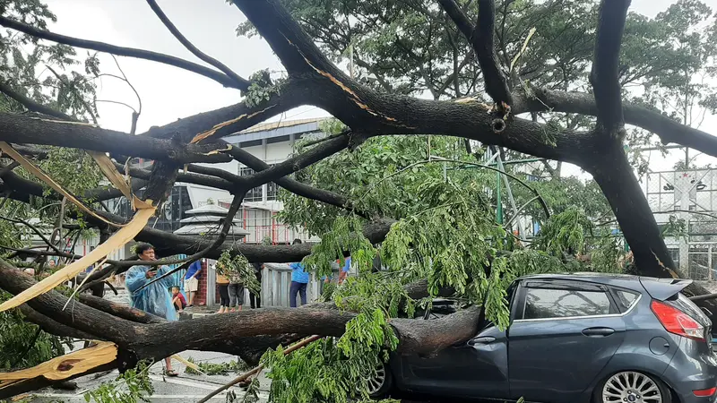 Hujan disertai angin kencang membuat pohon tumbang di Jalan A Damyati, Kota Tangerang. Pohon tumbang menimpa mobil, Kamis (23/12/2021).