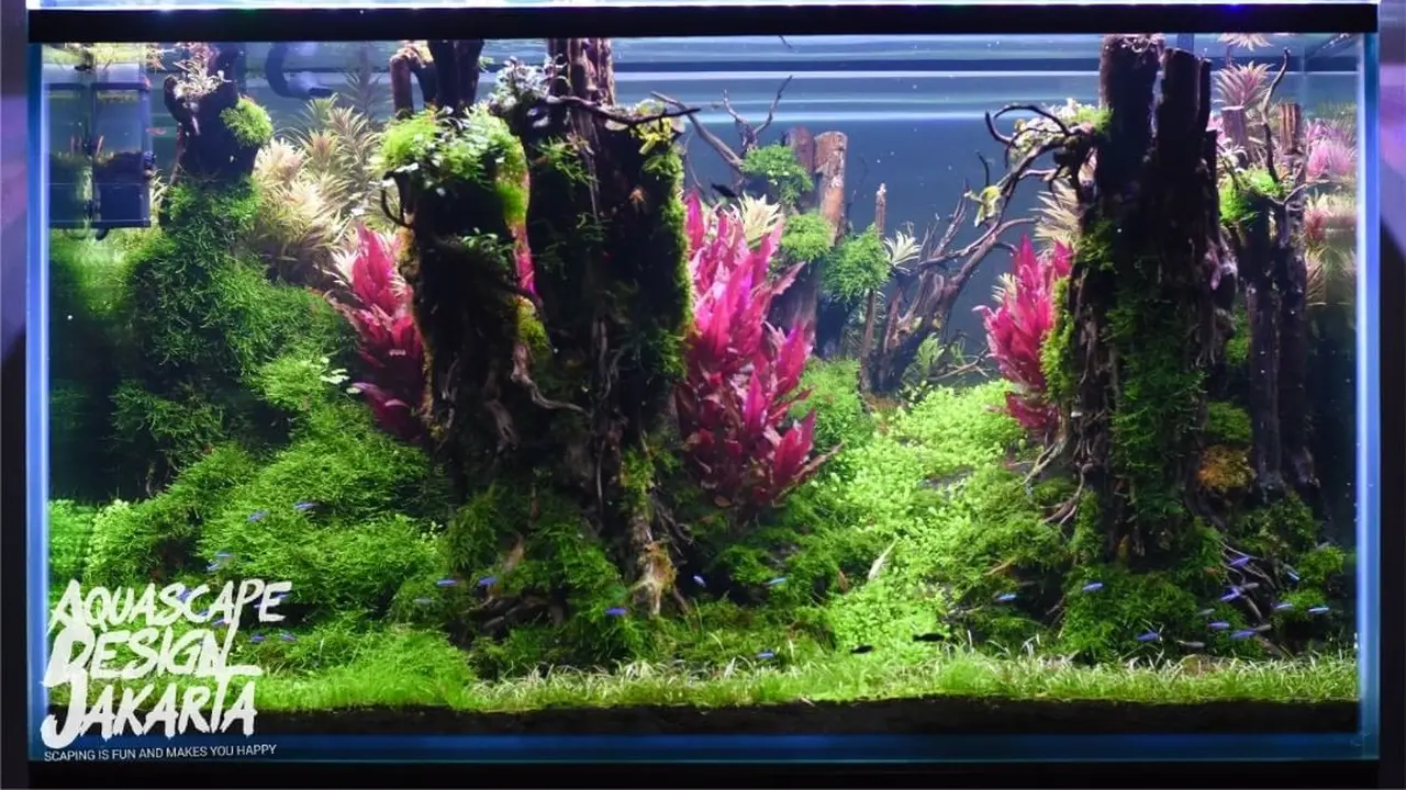 Aquascape oleh Aquascape Design Jakarta