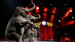 Sejumlah gajah melakukan aksi dengan mengangkat kedua kaki depannya untuk sebuah pertunjukan sirkus gajah di Casey Plaza, Pennsylvania , AS , 30 April 2016. (REUTERS / Andrew Kelly)