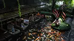 Seorang wanita memberi makan ikan mas saat pengunjung melihat di restoran bertema ikan di Chiang Mai, Thailand, Selasa (12/4/2022). (Jack TAYLOR/AFP)