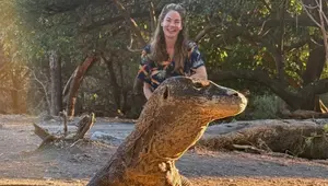 Penasaran dengan Komodo, Michelle Monaghan Rela Kembali Liburan ke Indonesia