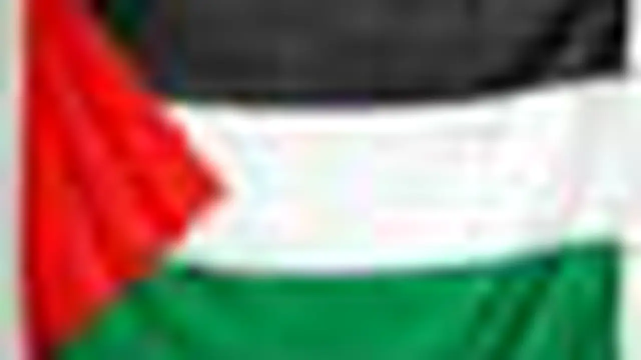 t08110adPalestina.jpg
