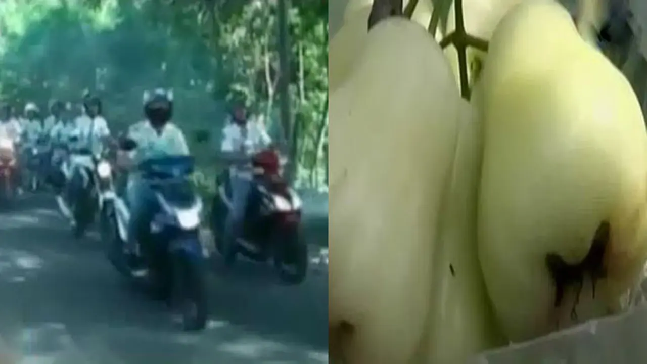 Polisi Bubarkan Konvoi Siswa SMA hingga Manisnya Jambu Madu