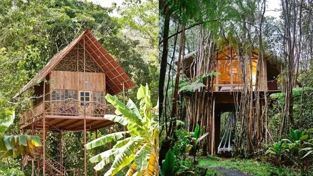 Berbaur dengan Alam, Ini 7 Rumah Pohon Terunik di Dunia