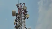 Perluas Jangkauan Jaringan, Tri Indonesia Bangun 6.000 BTS 4.5G Pro