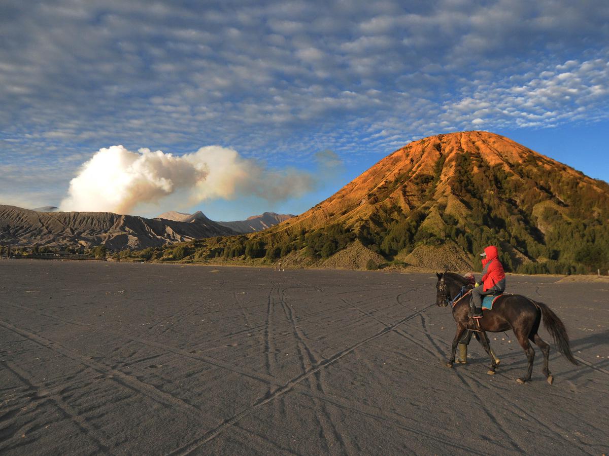 paket wisata bromo terbaru 2022
