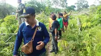 Petugas BBKSDA Riau bersama warga dalam mitigasi konflik gajah di Kabupaten Indragiri Hulu. (Liputan6.com/M Syukur)