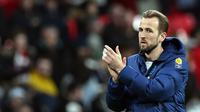 Harry Kane. (JUSTIN TALLIS / AFP)