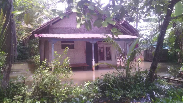 Rumah terendam di Desa Tarisi Kecamatan Wanareja, Cilacap. (Foto: Liputan6.com/BPBD Cilacap/Muhamad Ridlo)