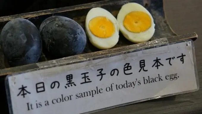 Foto: copyright odditycentral.com