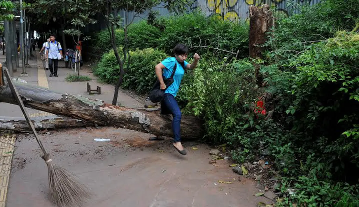 Seorang pejalan kaki tampak harus melompati batang pohon yang tumbang (Liputan6.com/Johan Tallo)