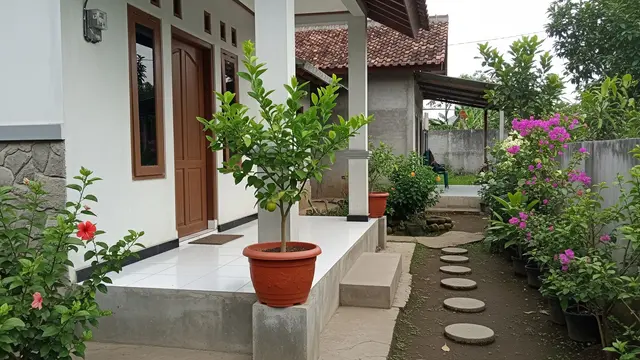 Pohon Lemon Mini untuk Teras Rumah
