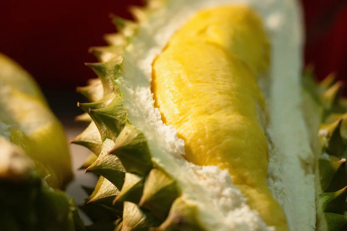 Buah durian