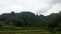 'Ekspor' TKI dari Desa Nglanggeran makin turun setiap tahun gara-gara pikat gunung api purba. (Liputan6.com/Yanuar H)