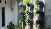 9 Ide Kebun Dinding dari Galon Air Mineral Bekas, Solusi Hijau Lahan Sempit