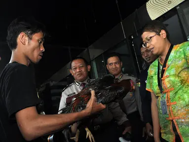 Gerakan Mahasiswa dan Pemuda Anti Korupsi (GAMPAK)‎ menghadiahkan seekor ayam jantan hitam kepada KPK, (23/9/14). (Liputan6.com/Miftahul Hayat)