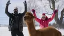 Rob Corless dan Samantha Brennan mengikuti kelas Yoga Salju bersama Alpaca di salju di Brae Ridge Farm and Sanctuary dekat Guelph, Ontario, pada 20 Februari 2022. Selusin orang mengikuti kelas yoga di luar ruangan dikelilingi oleh alpaca di musim dingin Kanada yang membekukan. (Geoff Robins / AFP)
