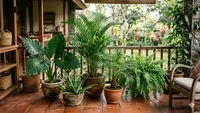 7 Kombinasi 5 Tanaman Paling Mudah untuk Pemula Lansia, Tahan Cuaca dan Minim Perawatan