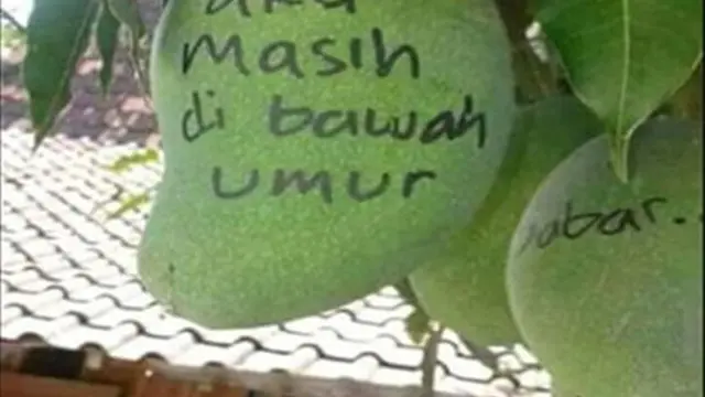 6 Tulisan di Mangga Ini Nyeleneh Banget, Kocak