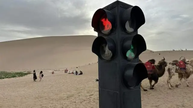 Lampu Lalu Lintas Khusus Unta